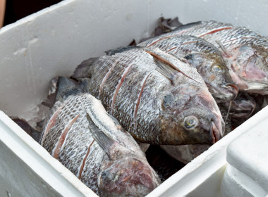 สำนักงานสหกรณ์จังหวัดเชียงราย จัดงาน ... พารามิเตอร์รูปภาพ 52